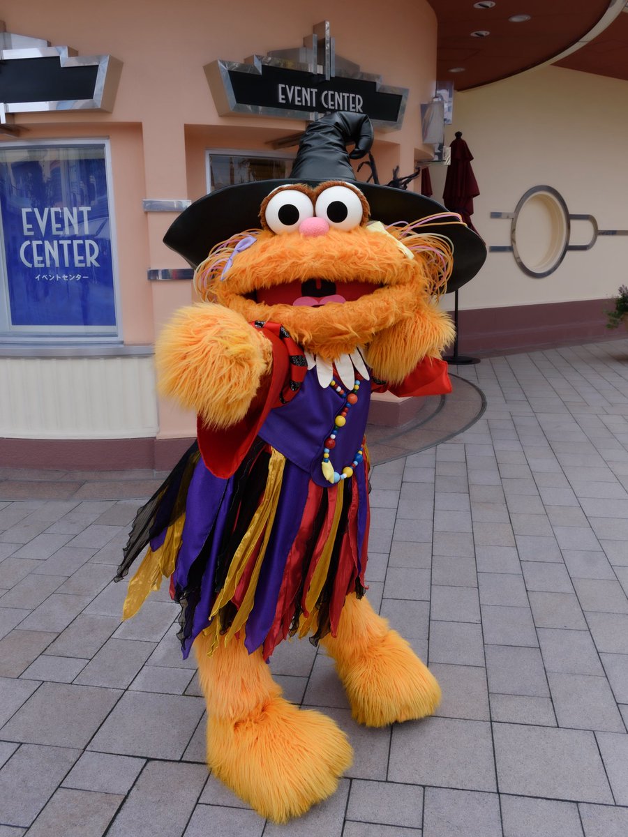 cookie_pero's tweet photo. ゾーイちゃんにならいくらでもいたずらされたい🥺💕 #USJファン https://t.co/CnvVt8W44n