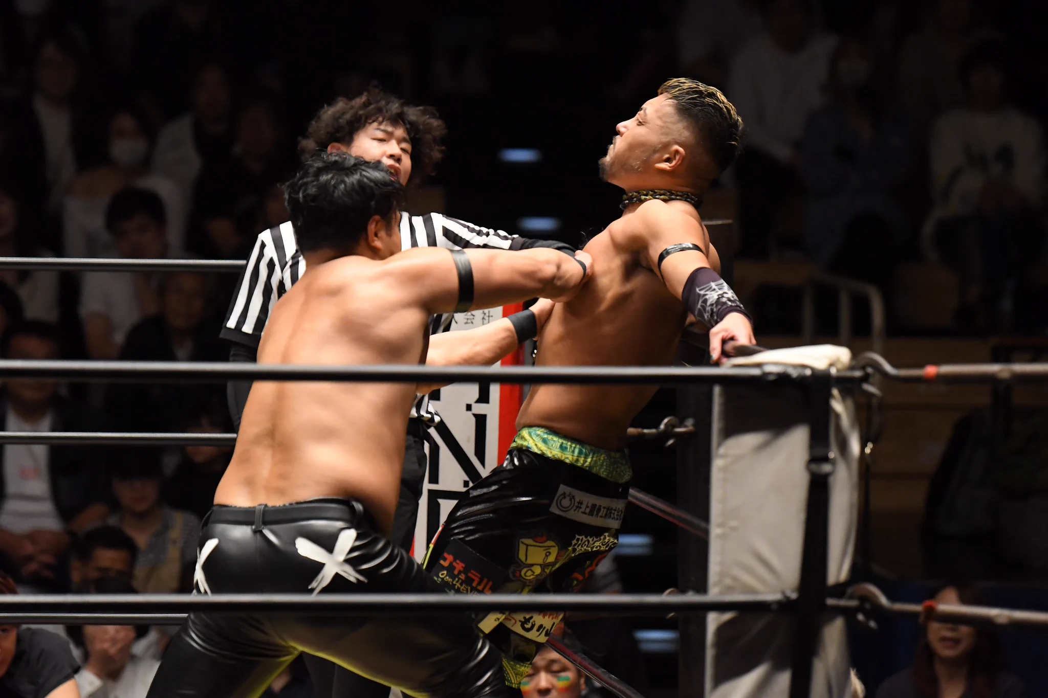 ゆーさん в X: „2026.10.2 DRAGONGATE 後楽園ホール ⑦オープン・ザ