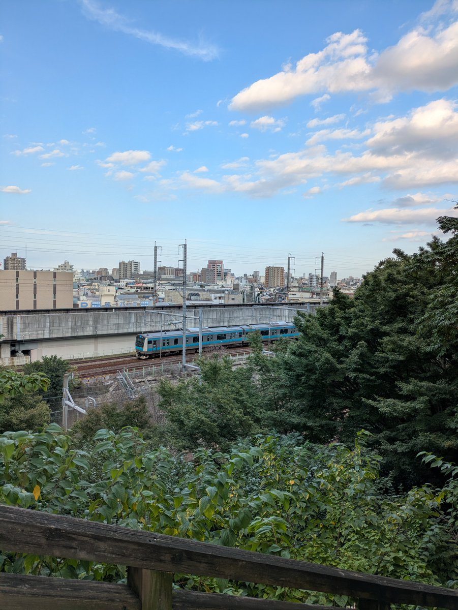 ikeda0701's tweet photo. 久しぶりの晴天の週末☀
飛鳥山公園のふるさと北区 区民まつりに行ってきました😄（区民ではないけど😅）
ステージあり、フリマ、出店などで賑わってました✨ https://t.co/yXwoQLKQjI