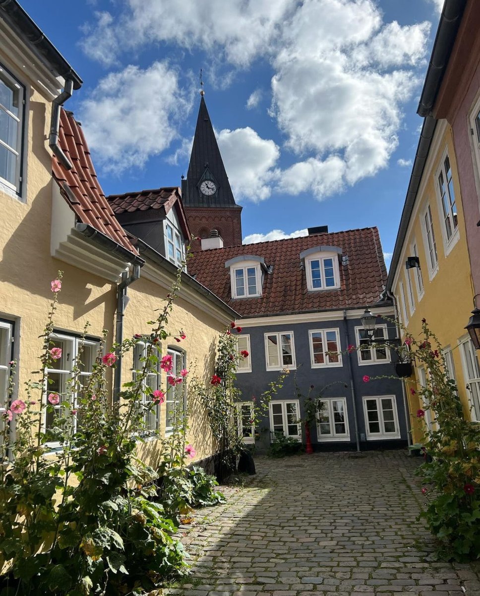 ScandinavianAE's tweet photo. Denmark 🇩🇰 https://t.co/GcxM3dlGxn