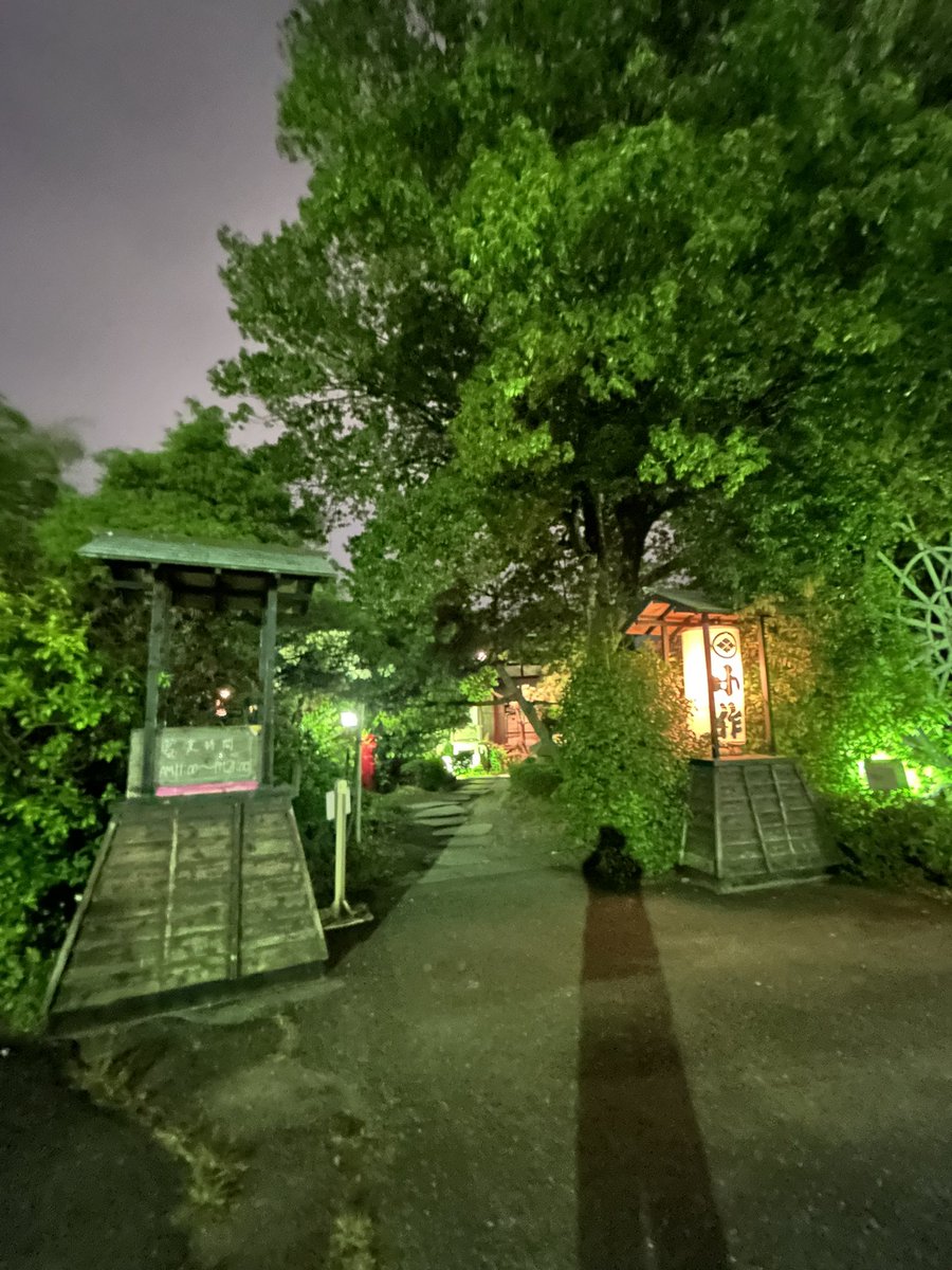 ktwon1030's tweet photo. 小作　竜王玉川店でほうとうを。
ここは穴場。
食事時なのに、そこまで混んでない。待ち時間なしで、普通に入れる。

正面入り口から玄関まで、鬱蒼とした中を少々歩くので、夜はちょっと怖いと思う人がいるかも。 https://t.co/UjH72BEntZ