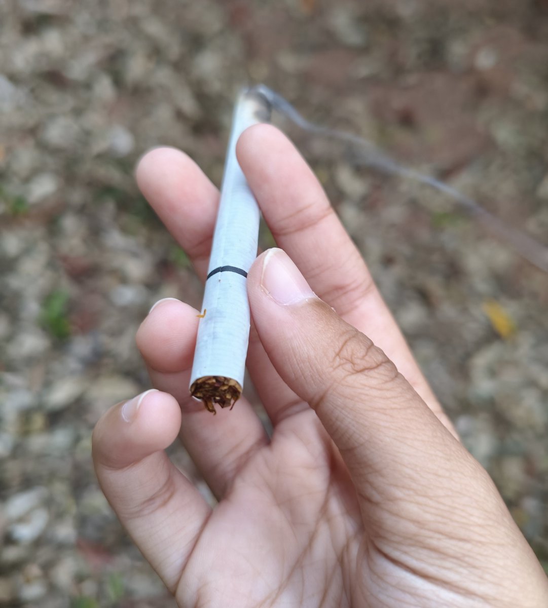 stellarscapula's tweet photo. #yositwt #cigtwt 
Djarum Matcha (first cig in my life lol)
8.9/10 
SWEET!! There's no noticeable matcha flavor for me but I would say it's pretty mint flavoured, but the smell is really good, like actual matcha smell..
Would do again.. https://t.co/oXR2EuzytC