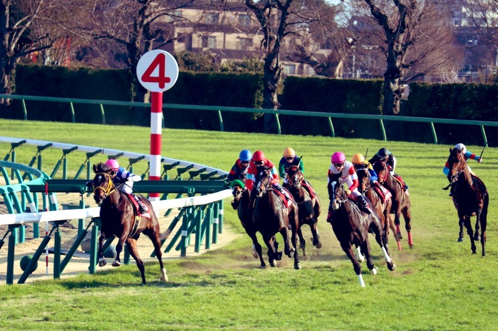 aipharoah2's tweet photo. 10月4日中央競馬2場(東京 京都)全レースAI指數公開しました 

🦄 全レース基準オッズ付き 🦄
今日は小刻みな当たりを届けた #pharoahくん 🐴

明日はG2が2つ！皆さんの本命は如何に？軸は思ってるより頼れるのか？🤔
そんなあなたはPharoahくんを是非参考にしてください！

https://t.co/7C4Ixz1LCV https://t.co/Twul5feHY8