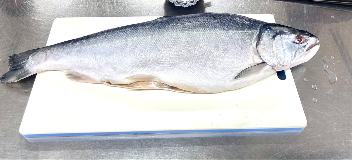prettykusobba's tweet photo. 今日は鮭を丸々一本使ってみんなで料理した！
魚切ったの人生初だった😹 https://t.co/nZufnWtPZ8