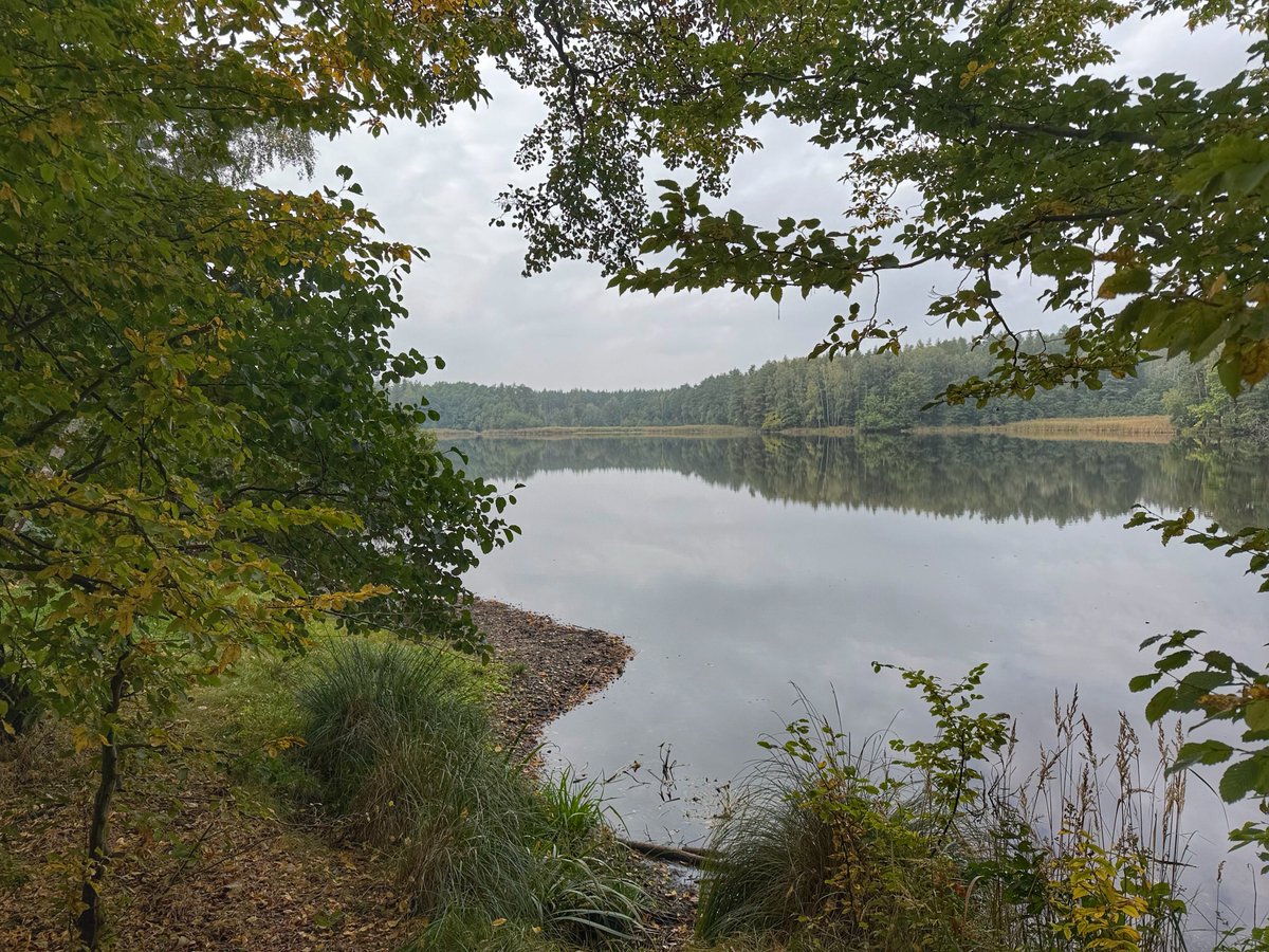 2edgesth's tweet photo. #Moritzburg #AppleWatchUltra https://t.co/Mu9sz9M2pd