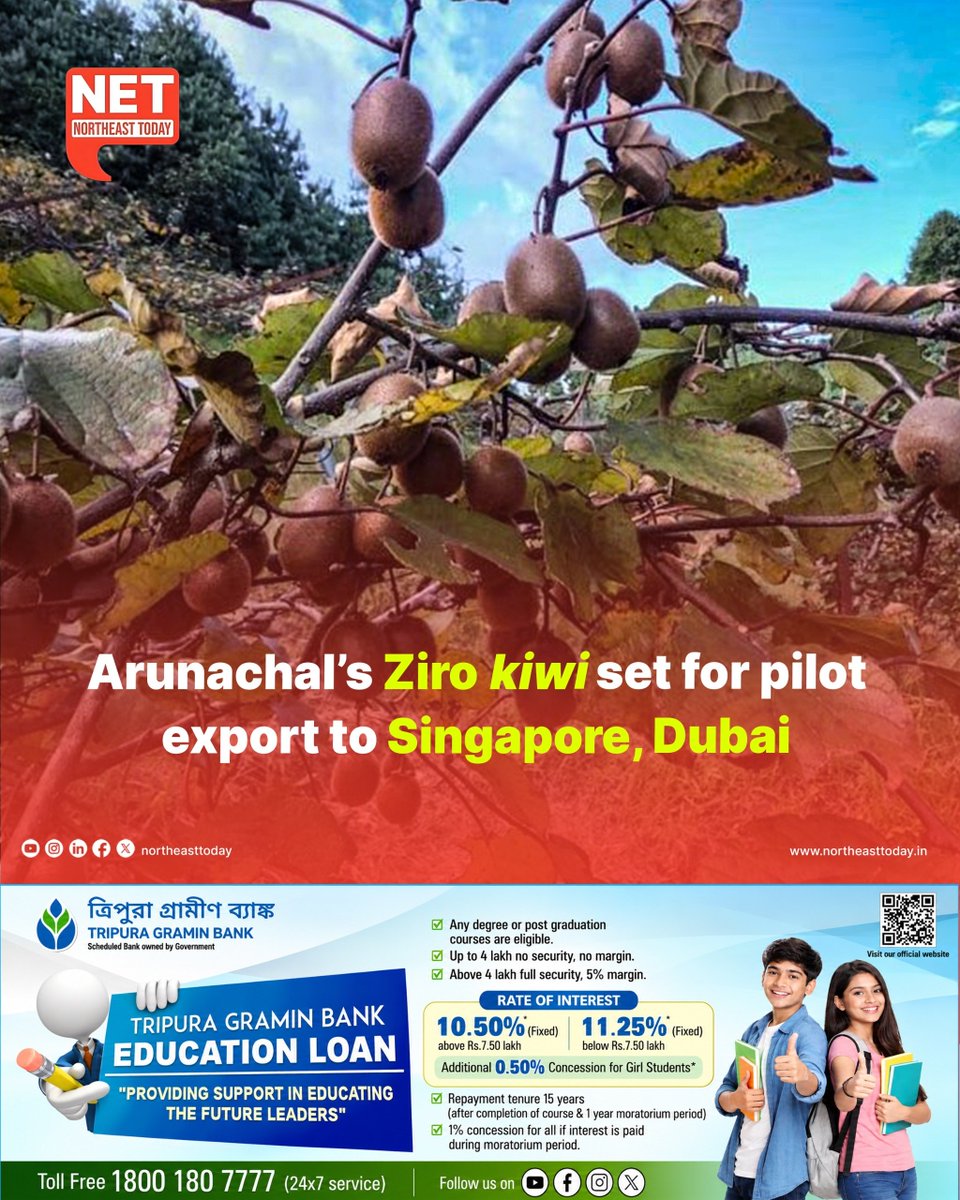 NortheastToday's tweet photo. #ArunachalPradesh | Famed Ziro Kiwi is set to receive a major push towards international markets, with the Agricultural and Processed Food Products Export Development Authority (APEDA) proposing a pilot export consignment to Singapore and Dubai.

Read more..
https://t.co/A80WoNUnRi

#ZiroKiwi #APEDA #KiwiExport #ZiroValley #Singapore #Dubai #NortheastToday