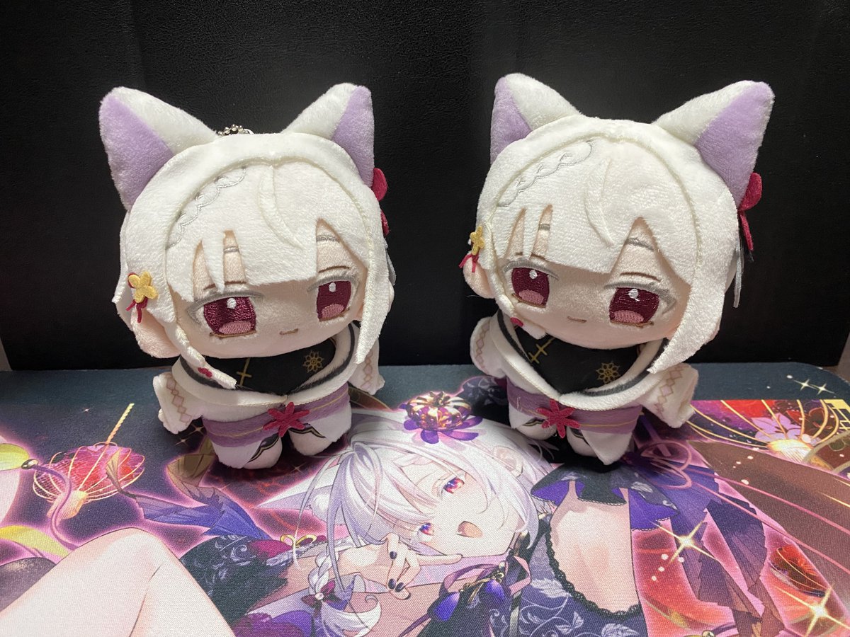mr_ngn's tweet photo. ツキちゃんぬい！
簡単にマッサージも施しまして、無事お二方とも自立しました。
かわいい！
#御景ツキ https://t.co/jPYqxR02OO