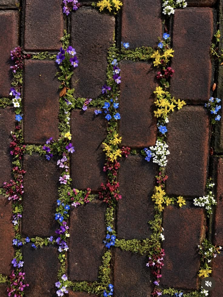 naturehealyou's tweet photo. Life grows through every crack https://t.co/TTypMgAR4N