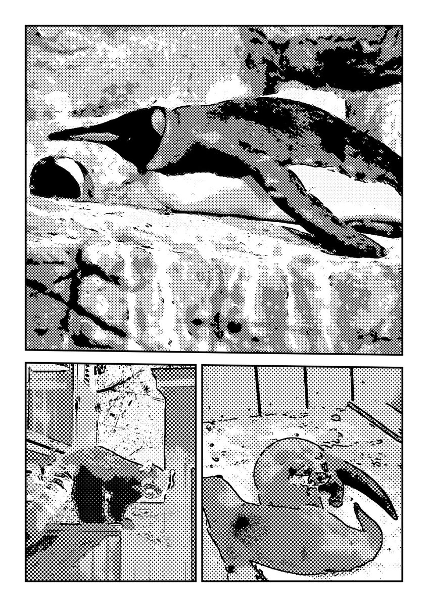 Kumoriapp's tweet photo. 写真をAIなしで漫画化させるもの作ったら、なんか良い感じだ…🐧 https://t.co/2pMSsATL7E