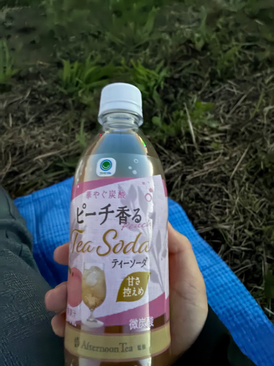 vtsoca's tweet photo. スパークリング紅茶って、イギリス人的にどうなんだろう https://t.co/I6uaNj2CaA