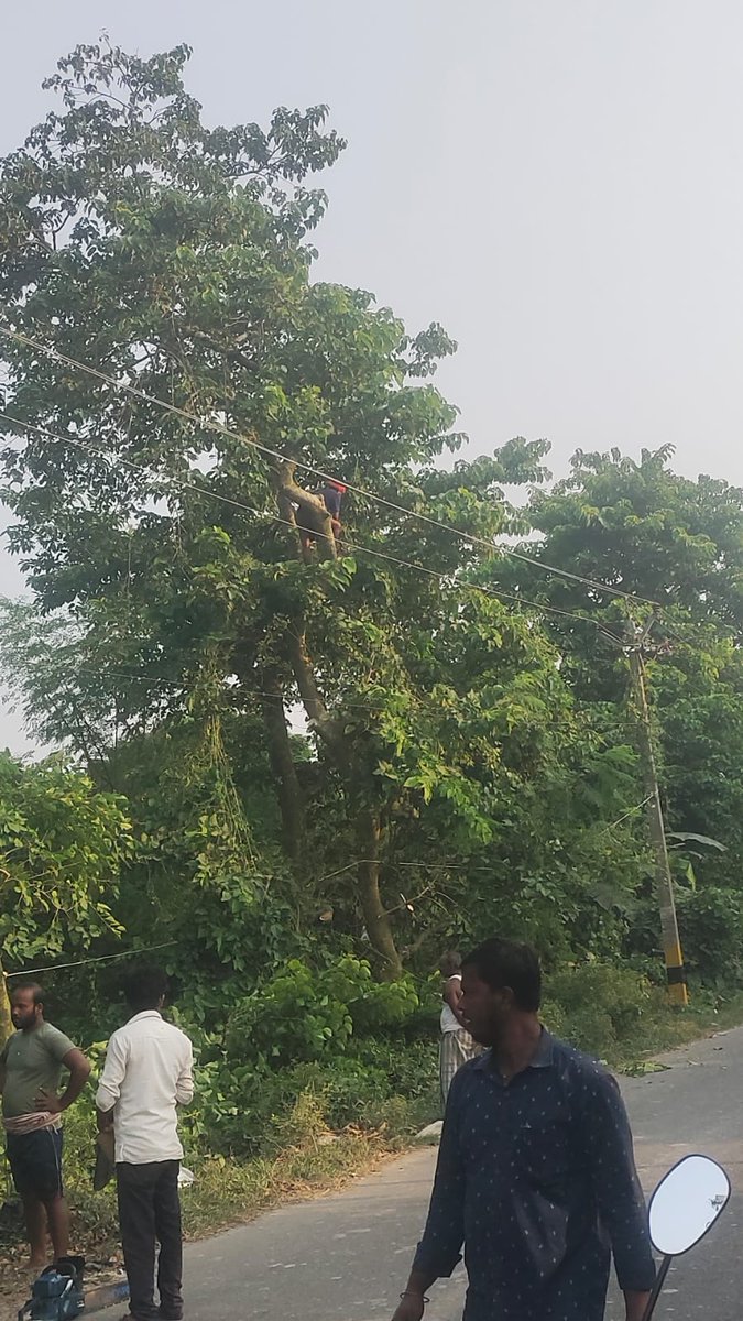 ESD_NAUGACHIYA's tweet photo. Tree Trimming in marwa feeder in bihpur section under esd naugachiya https://t.co/6X4aN39umm