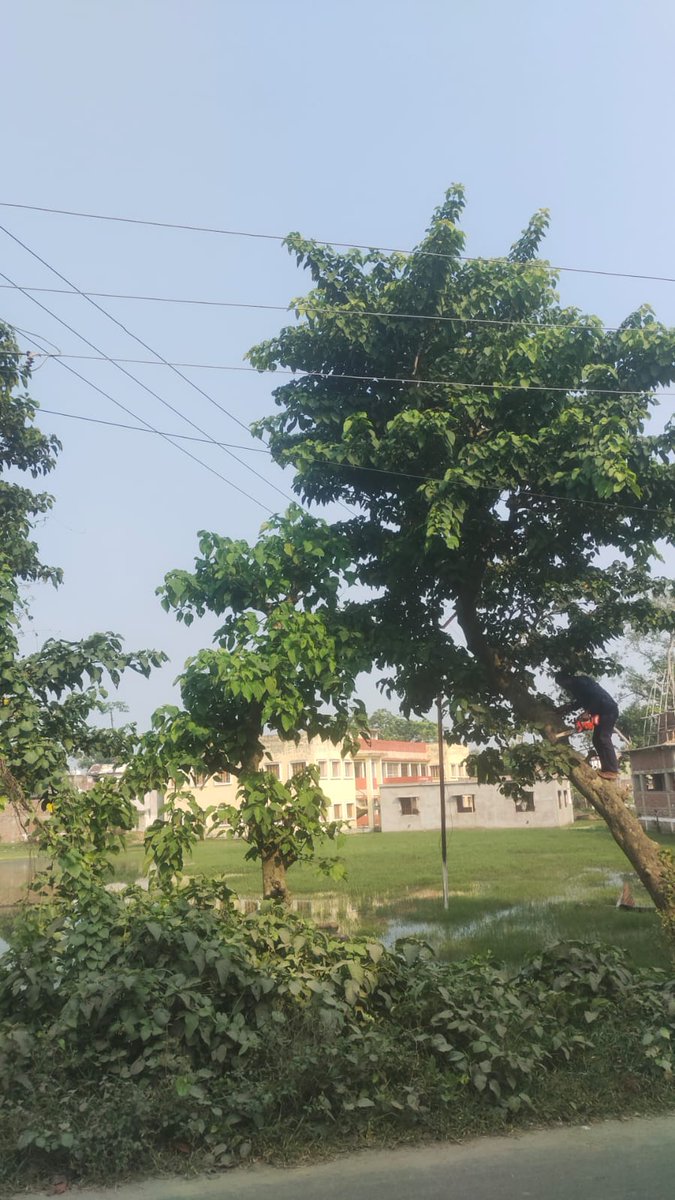 ESD_NAUGACHIYA's tweet photo. Tree Trimming in marwa feeder in bihpur section under esd naugachiya https://t.co/6X4aN39umm