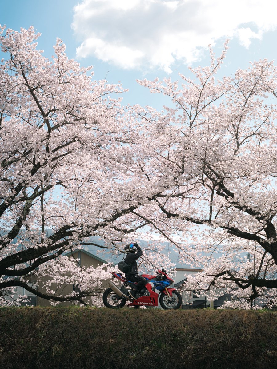 rebelion250rr's tweet photo. #AIなんかに負けない写真撮ろうぜ https://t.co/B3nW4uQoMT