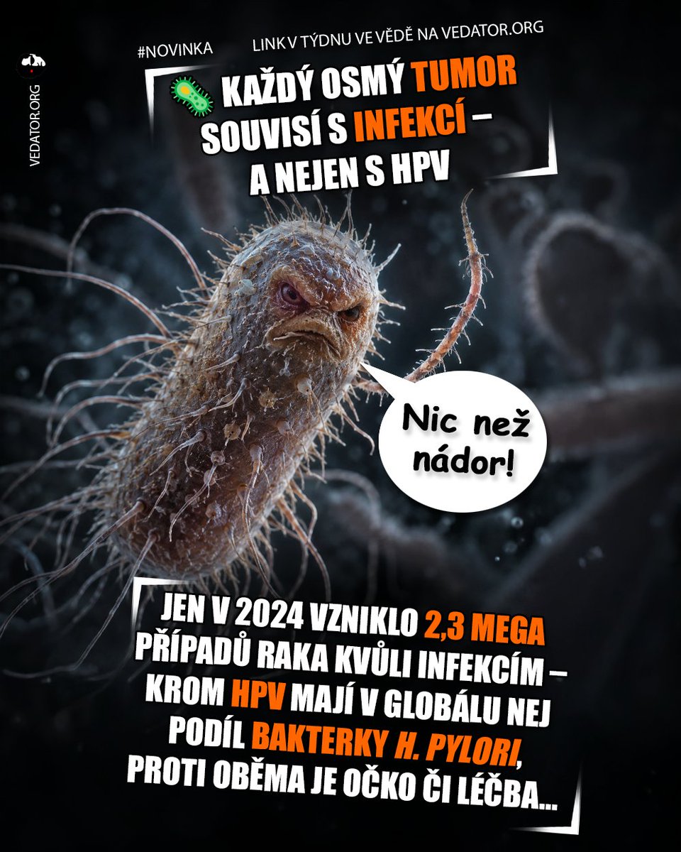 Vedator5's tweet photo. 🦠 Bakterky a viry nemusejí způsobit jen kašlíky, boláky nebo genitální svědění – některé patogeny taky „STRESUJÍ“ NAŠE BUŇKY způsobem, který u nich může spustit procesy vedoucí ke vzniku BUNĚK NÁDOROVÝCH… 👻
#cancer #rakovina https://t.co/DivwIEaPGj