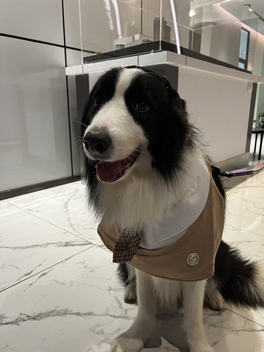 VIF_FC's tweet photo. พร้อมปะทะความหล่อของพวกเรารึยังคับ

#VIFxYinWarInPattaya
VIF YWZS AT DOG ENJOY https://t.co/EuOExjgjel