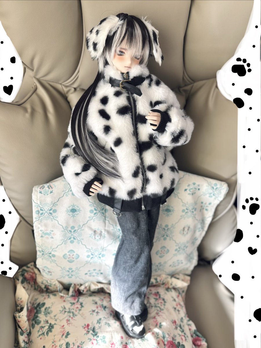 modh_bom's tweet photo. 憧れていたJentako様（@JentakoY ）のお洋服が届きました✨
この子に着せたかったブルゾン🤤…💖
お膝ﾁﾗパンツ（2枚目）と合わせても良すぎる〜！！😻

��耳はshiroさん（@kusan8404 ）の企画にていただいたものです🐾
全身コーデできた😭💓

背景汚いので落書きで誤魔化し╰(╰.ω.)╯

#Jentako服 https://t.co/6bYphpUNzO