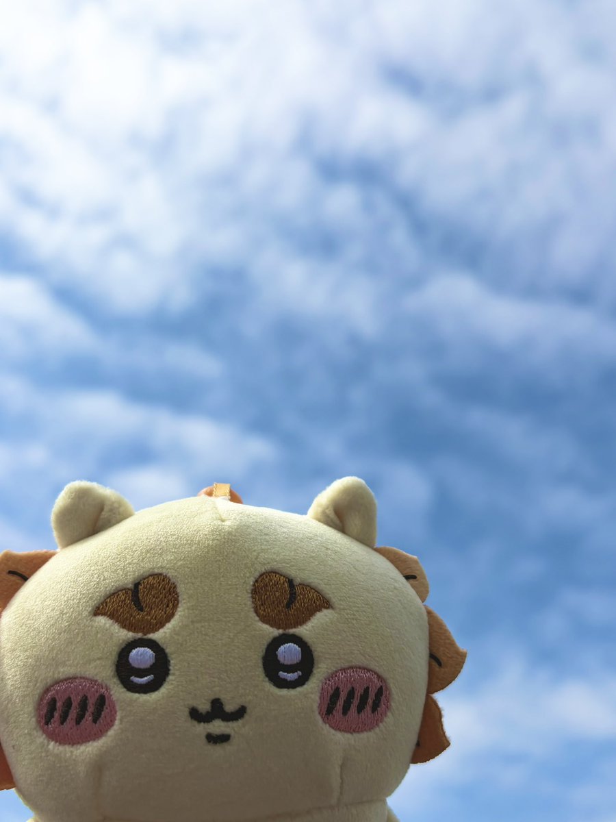 satapaaaaa100's tweet photo. 今日は綺麗な空だったよー🌺 https://t.co/tiuwxM2iM7