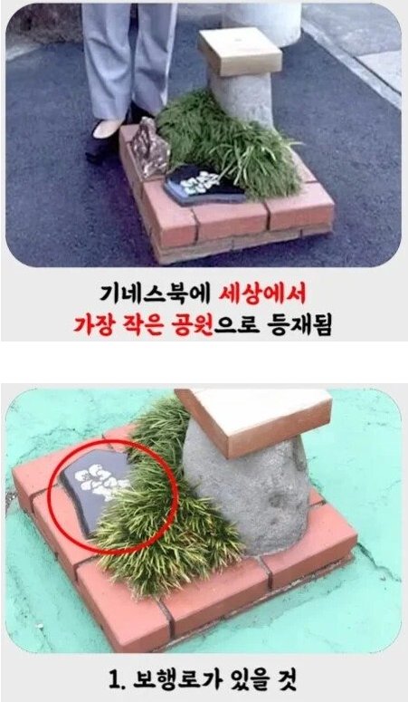 mideum1004's tweet photo. 일본에 있다는 세상에서 가장 작은 공원!?

기네스북 등재를 위한 공원인 줄 알았음

알고보니 주변에 공원이 있으면 에로호텔 같은 성인용 시설이 
들어갈 수 없는 법 때문이라고 함 https://t.co/GsvUQ8d2ia