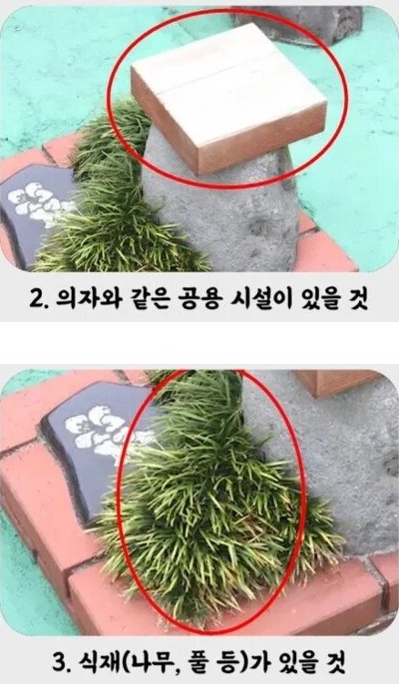 mideum1004's tweet photo. 일본에 있다는 세상에서 가장 작은 공원!?

기네스북 등재를 위한 공원인 줄 알았음

알고보니 주변에 공원이 있으면 에로호텔 같은 성인용 시설이 
들어갈 수 없는 법 때문이라고 함 https://t.co/GsvUQ8d2ia