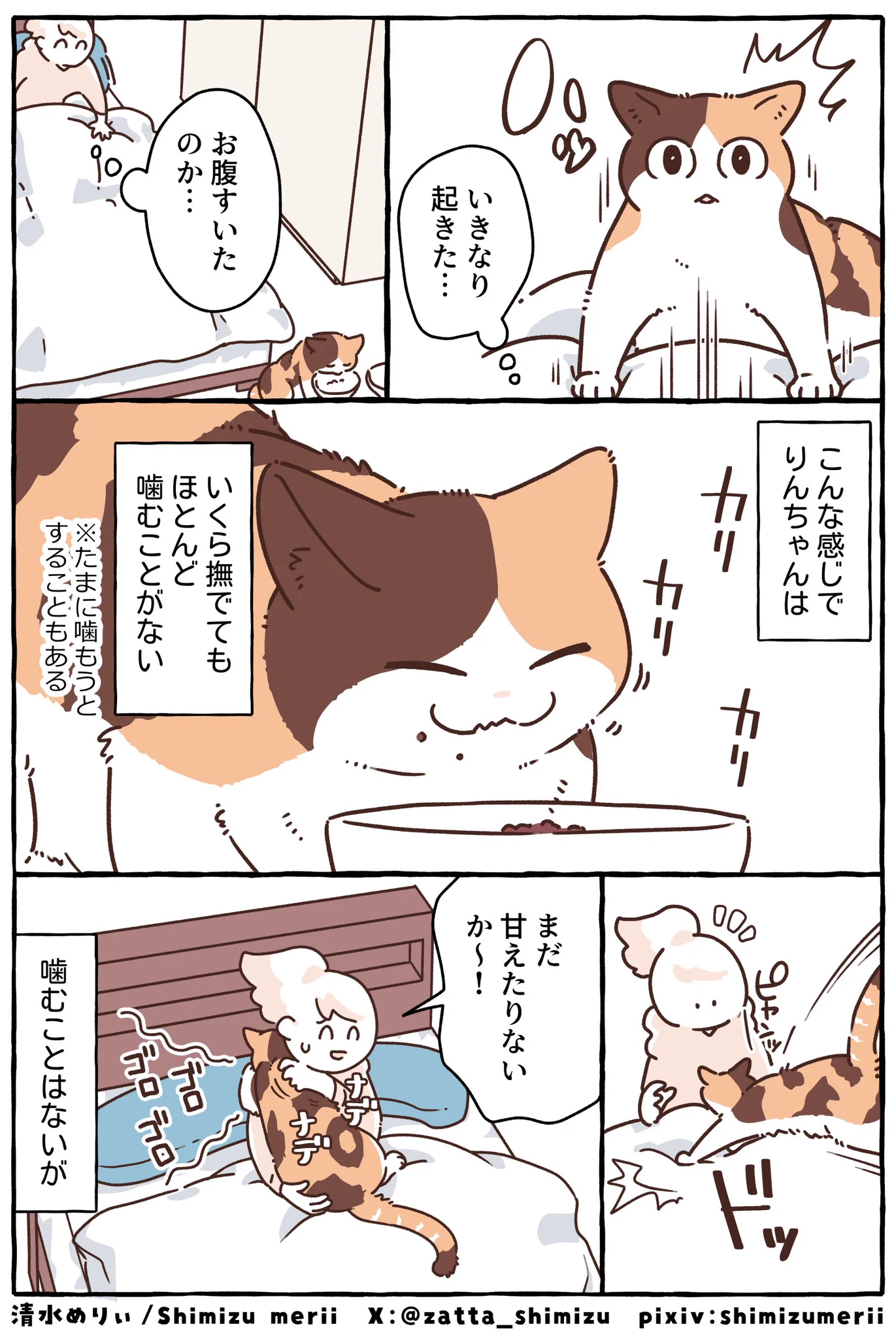 清水めりぃ@ブラ猫①～⑧巻発売中 on X: 