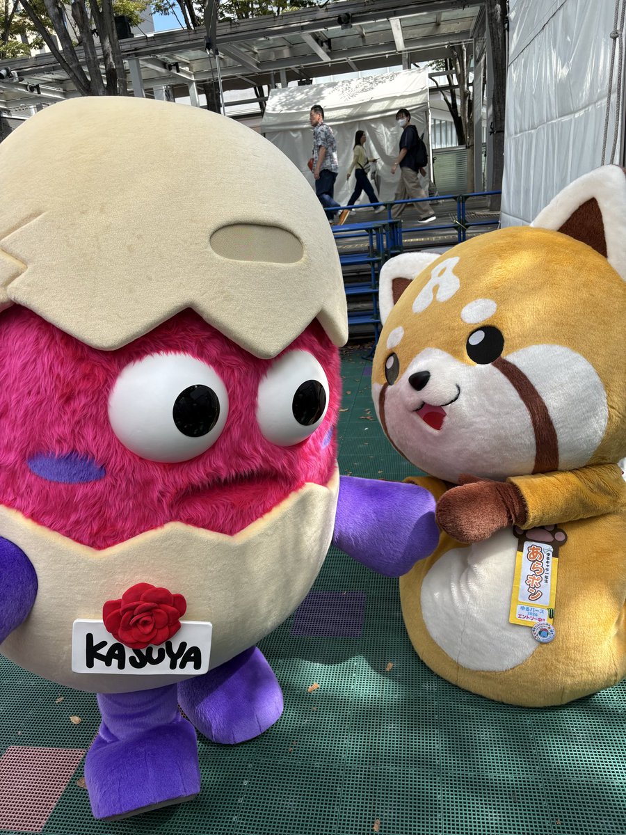 kasutamachan's tweet photo. （あらポンさん💕🥚）
#あらポン
#かすたまちゃん
#ゆるバース2026 https://t.co/Qjx6u87yp2