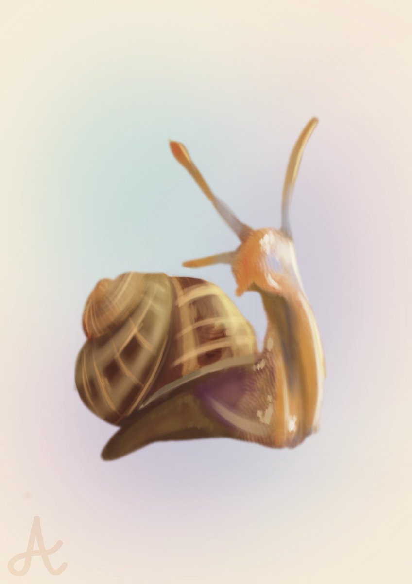 _albamalo9's tweet photo. 🐌 https://t.co/dl8sFyqRvG