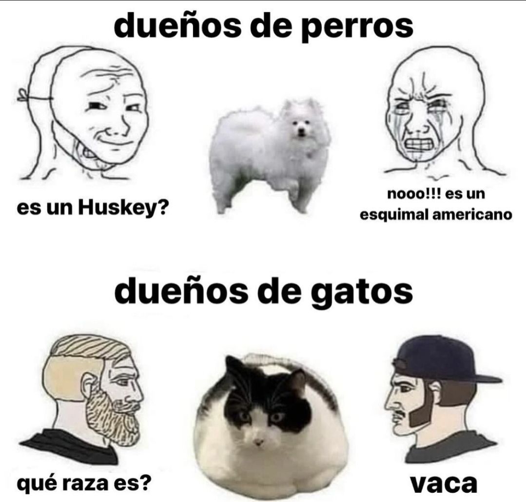 wikipistacho's tweet photo. https://t.co/2wTComleXK