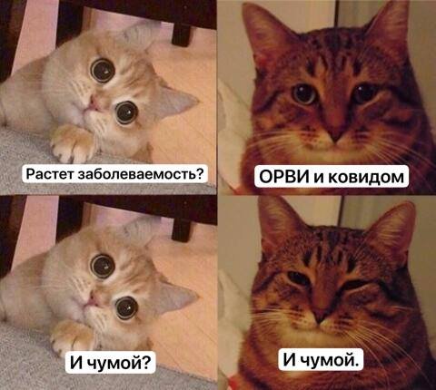 ssnows123456780's tweet photo. Актуальновое https://t.co/BThFRWxR4a