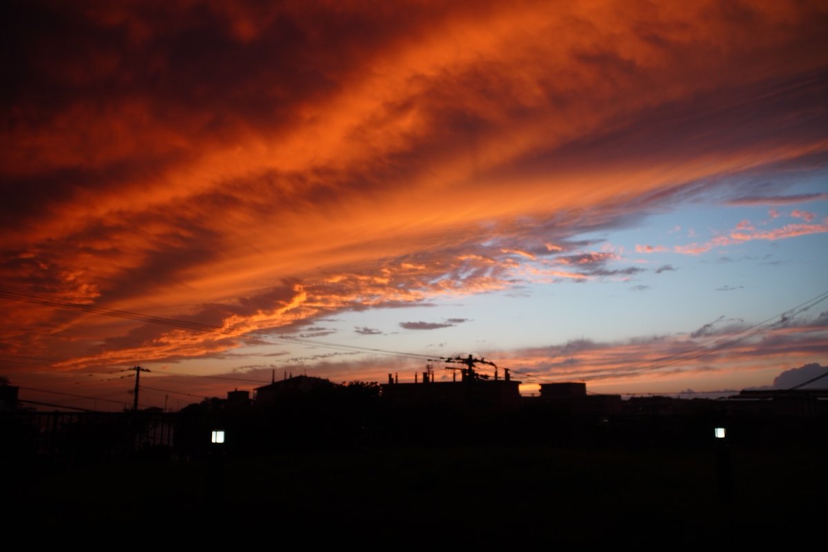 austfal's tweet photo. 秋来釧は一時なれど千巡、夕陽は広北に極みて無情なり。
再び裁判所に来て思うことは、修習の終わりの近さである。令和八年の歳が深まるにつれ夕陽の輝きも深く濃くなっていく。その光の変化がそう思わせるのか、毎日夕陽が近づいてくるように感じる。 https://t.co/GtVT60F6Lg