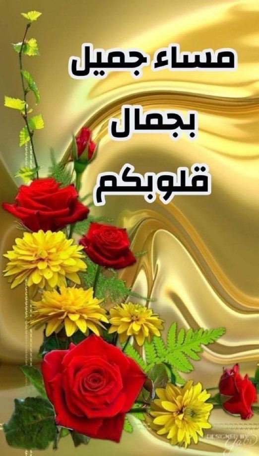 adel73467641's tweet photo. ☘️
يسعدكم ويحفظكم ربي https://t.co/gveCOBiJPT