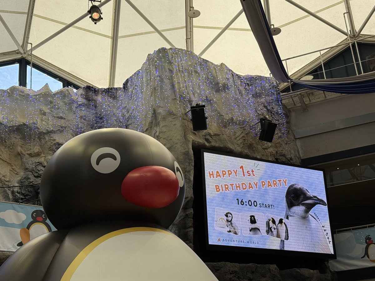 52_mika_96's tweet photo. よよちゃん🐧
1歳のお誕生日おめでとう🎂
これからも元気にすくすく成長してね😊

2026.10.3

#アドベンチャーワールド
#コウテイペンギン https://t.co/fbx1sjFj3j