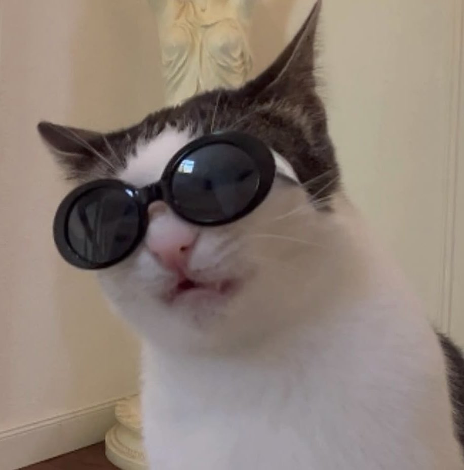 Taeminascats's tweet photo. https://t.co/iEwKGGcCh0