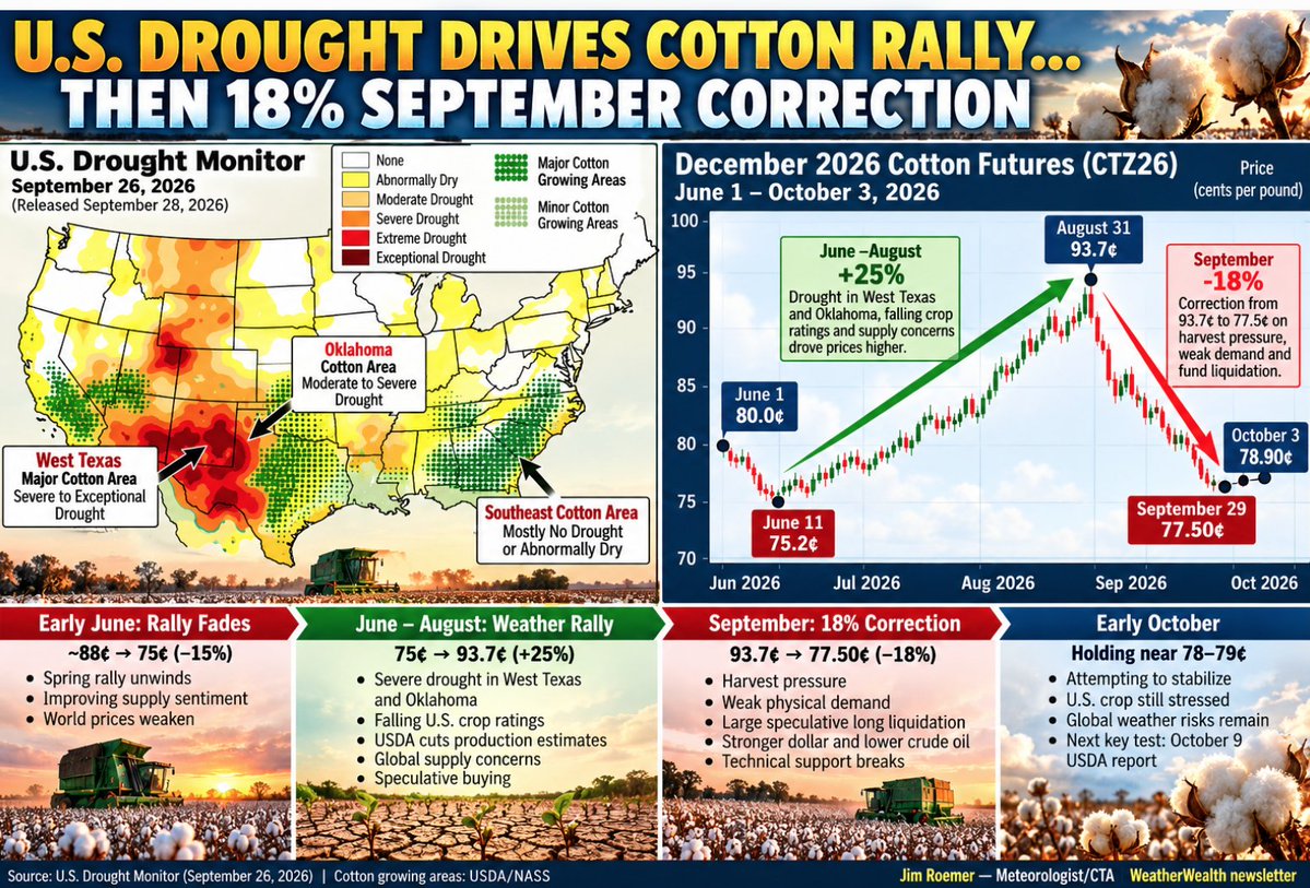 ClimatePredict's tweet photo. Has or will @CottonInc cotton prices bottom? What is driving @trustuscotton the market lower,? It is not just harvest pressure. But a poor @CottonFarming India Monsoon #agcommodities #agwx and the recent @TexasFarmBureau Texas drought could tighten global supplies. 

Find out more in our unique FREE newsletter https://t.co/WvaaJRogTs