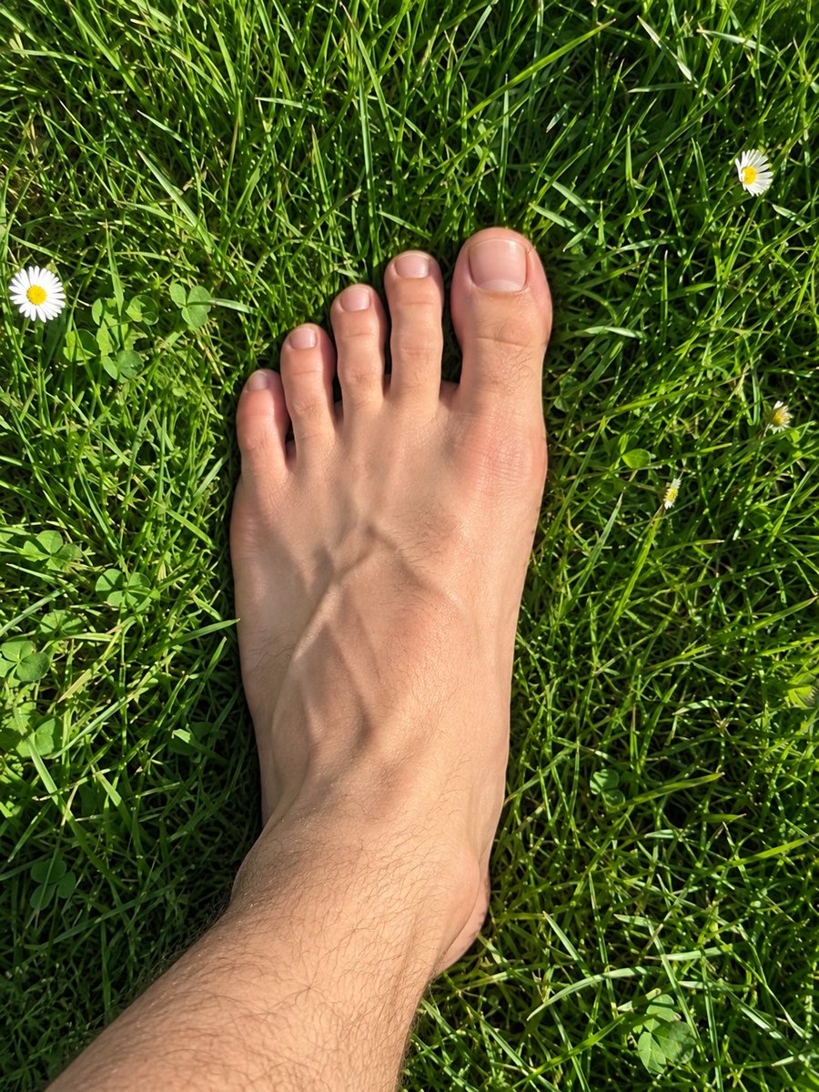 StandX_Official's tweet photo. t̶o̶u̶c̶h̶ stand on grass https://t.co/SuozYjQItV