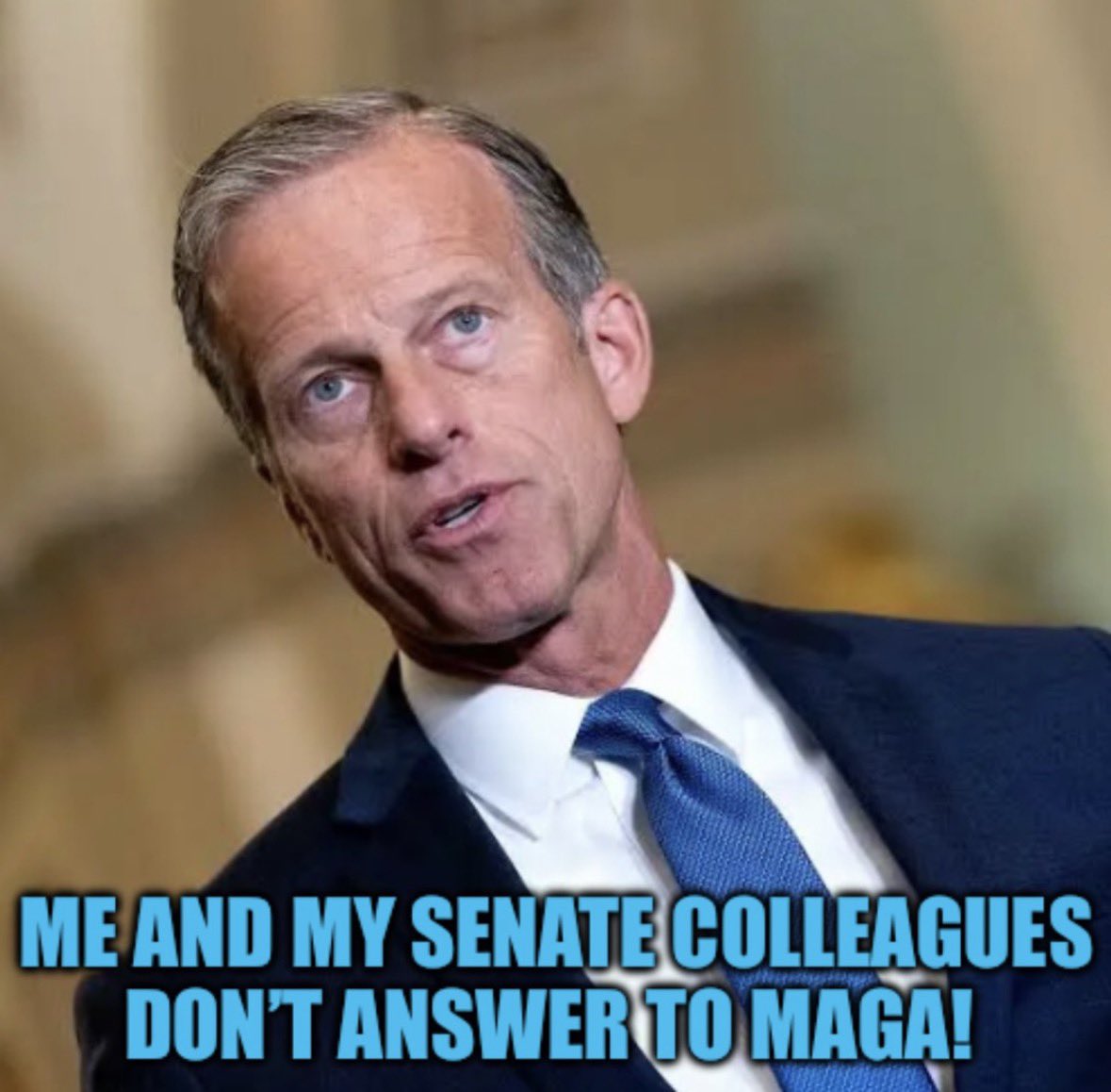 1Nicdar's tweet photo. In case you didn't know or have forgotten, the democrats plan on cheating in the midterms. 

John Thune and his Senate colleagues made sure that they still could. https://t.co/E21hPG10gV