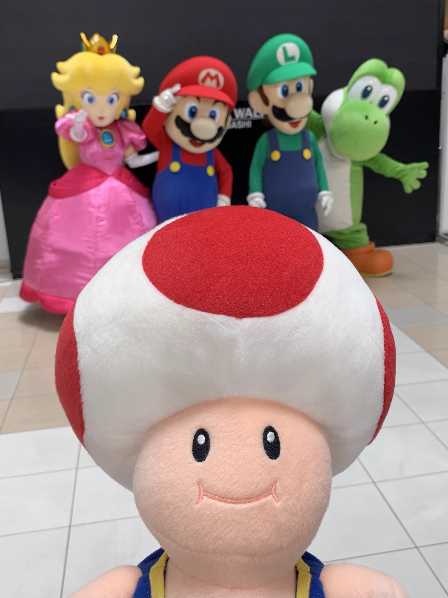 YM🍄マリオが大好き on X: 