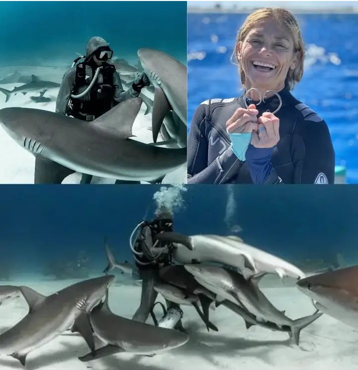 Pramodsng1's tweet photo. ( 1996 Cristina Zenato ) एक मशहूर इटालियन स्कूबा डाइवर और Marine Conservationist हैं जिन्हें दुनिया भर में Sharks Whisperer के नाम से जाना जाता हैं

एक दिन Cristina Zenato ने ( Bahamas) के समुद्र में डाइविंग के दौरान एक कैरिबियन रीफ शार्क उनके पास आई जो बहुत दर्द में थी Cristina Zenato ने देखा की शार्क के मुँह में एक बड़ी मछली पकड़ने वाला हुंक फंसा हुआ था उन्होंने ने बिना डरे अपना हाथ शार्क के मुँह में डाला और हुंक बाहर निकाल दिया !! 

Cristina Zenato रोज डाइविंग करने समुद्र जाती और शार्क खुद आकर उनके पास अपना हुंक निकलवाते cristina Zenato ने 30 वर्षों में शार्क के मुँह से गलफड़ों और Fins 300 से अधिक मछली पकड़ने वाली हुंक हाथ से निकाली