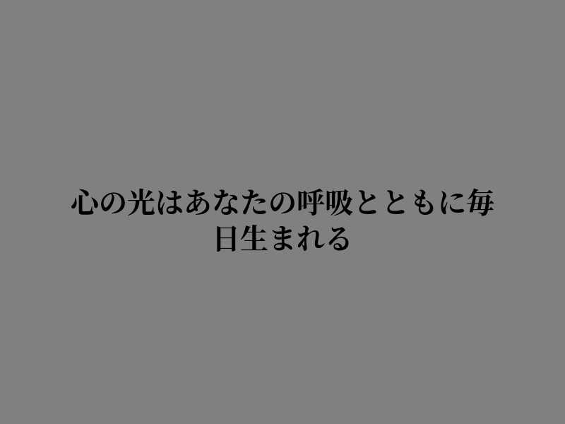 armando_1976's tweet photo. 静かな夜を彩る https://t.co/KJaMj9Sj7r