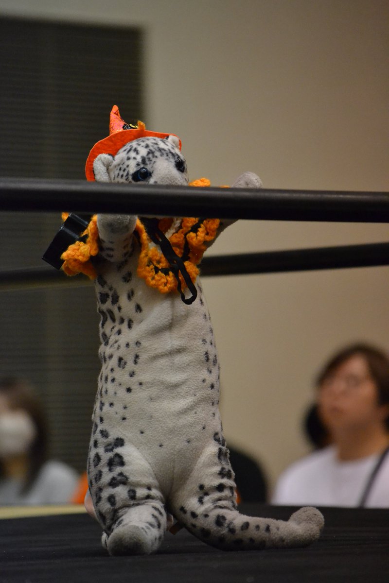 InZalemu's tweet photo. 今日のみょんみょん。
ハロウィン仕様になってたよ🎃 https://t.co/u5hEt8YXmP