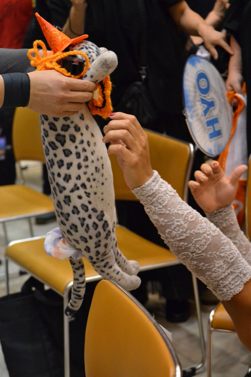 InZalemu's tweet photo. 今日のみょんみょん。
ハロウィン仕様になってたよ🎃 https://t.co/u5hEt8YXmP