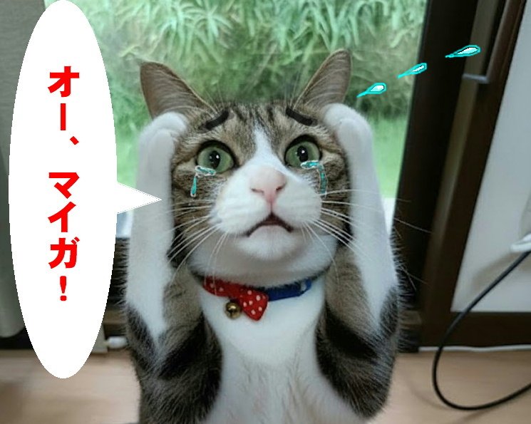 ushichikohaha's tweet photo. 晴くん😣😥あいや〜
どうてーん😰
急にロッテムードになってしもた、、、がんばれ！
#sbhawks https://t.co/3H44abFpfp