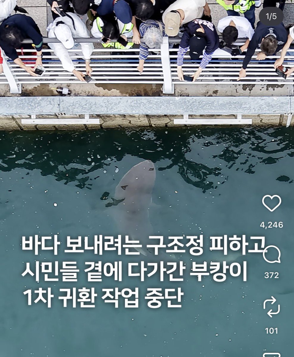 iib_si's tweet photo. ㅅㅂ부캉이는그냥먹고싶어서간거같은데 https://t.co/eXCLCZ4Y7A