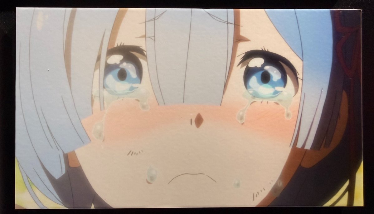 ikuta_rezero's tweet photo. レムとスバルのイチャイチャが好きなパネル紹介✨
頭支えられてるレムの表情可愛すぎんか！
どこを見ても最&amp;高✨
#リゼロ展 https://t.co/a46fLTWOmR