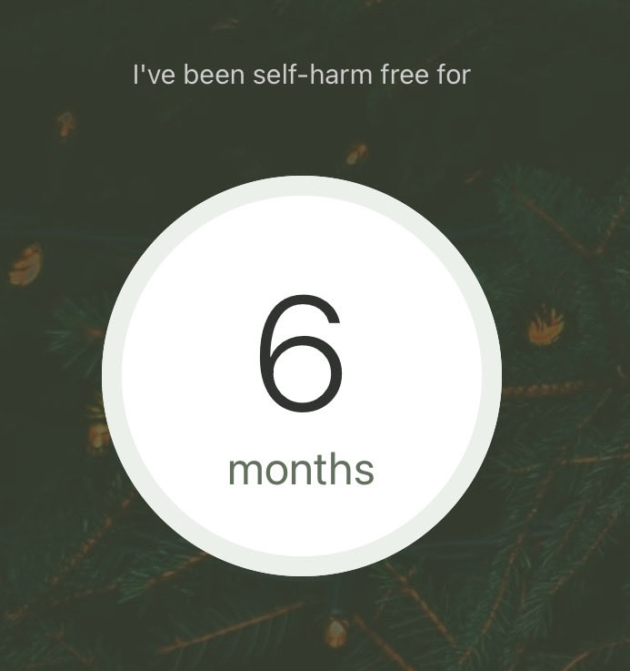 himikoirl's tweet photo. oh also forgot to say that as of today im 6 months sober https://t.co/2ULnB3EOCc