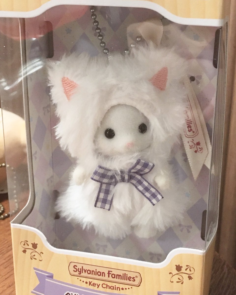 ppoyong0's tweet photo. 오늘 데려온 실바니안 페르시안 고양이
말도 안 되게 귀여븜 .. ㅜ _ ㅜ https://t.co/XLLeYBiOvT