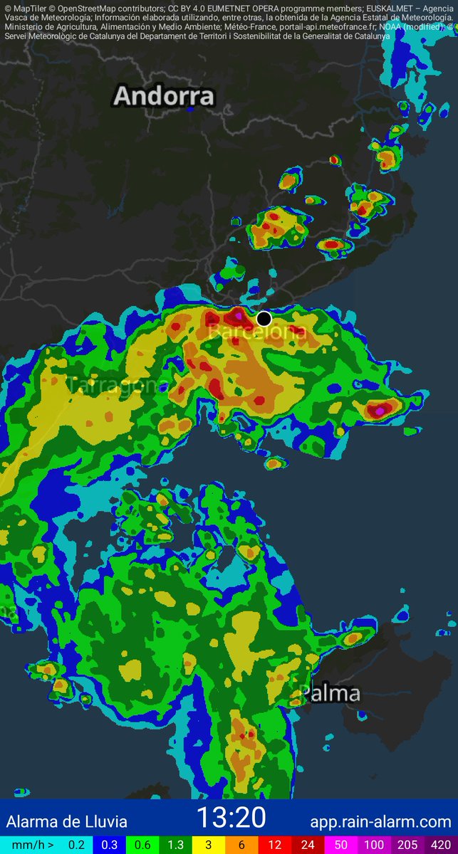 David9dsb's tweet photo. Lluvia - 13:20 https://t.co/7nofcJyb0Q