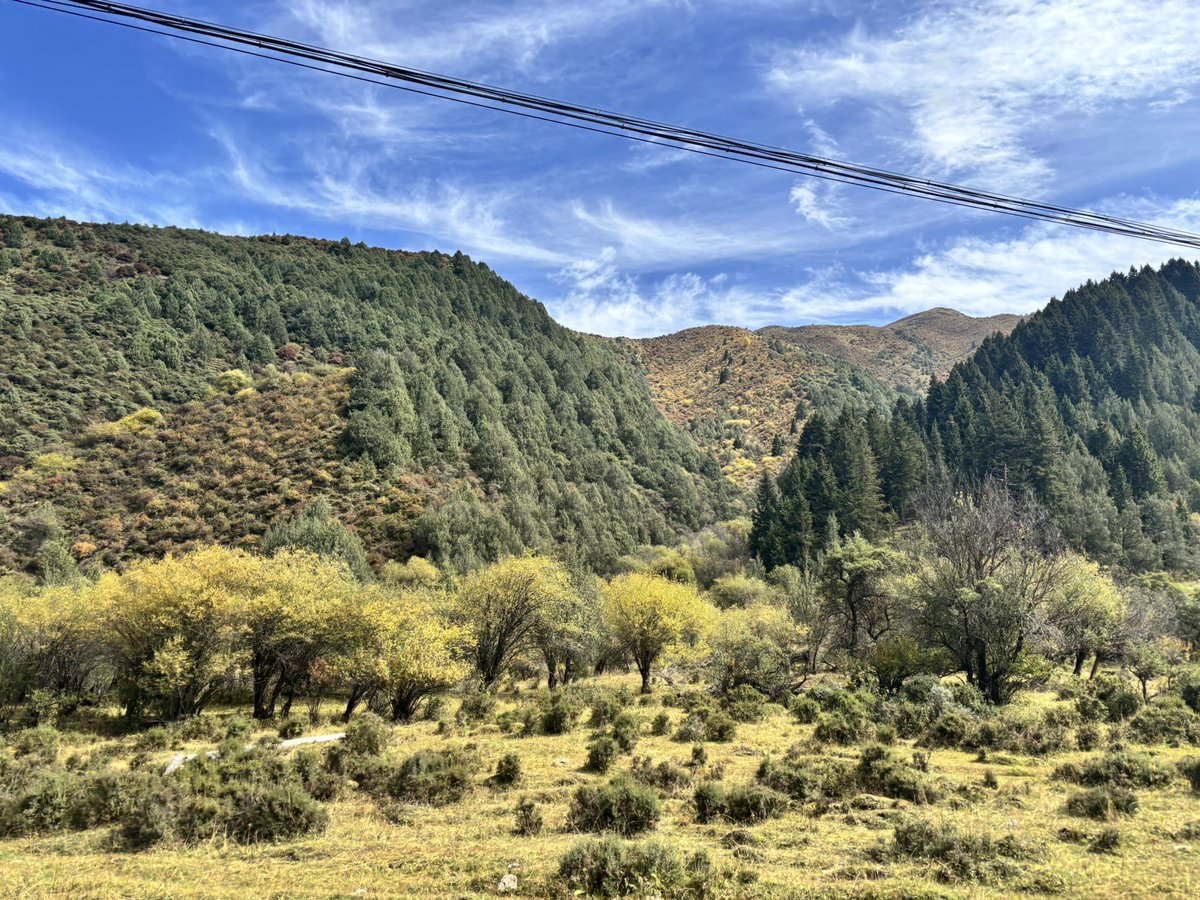 hhh_yang's tweet photo. 洛克之路南进北出，末端风景 https://t.co/sjVXJ8uJCS