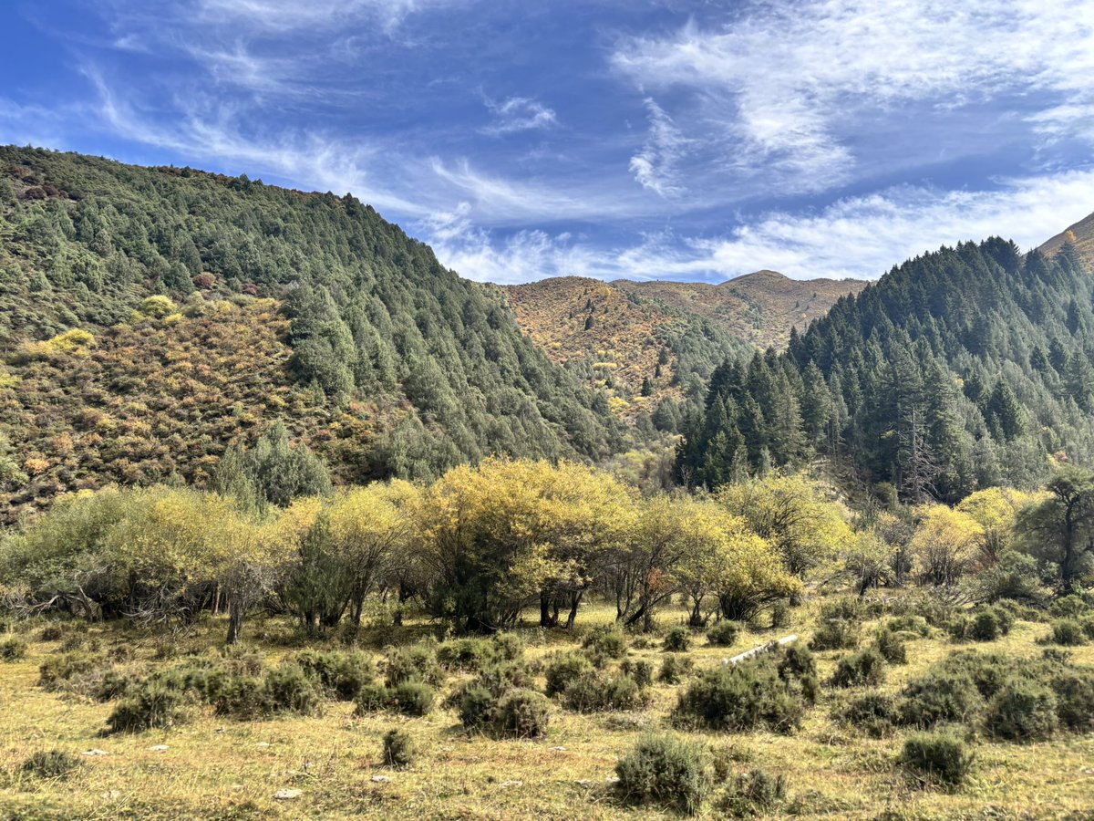 hhh_yang's tweet photo. 洛克之路南进北出，末端风景 https://t.co/sjVXJ8uJCS