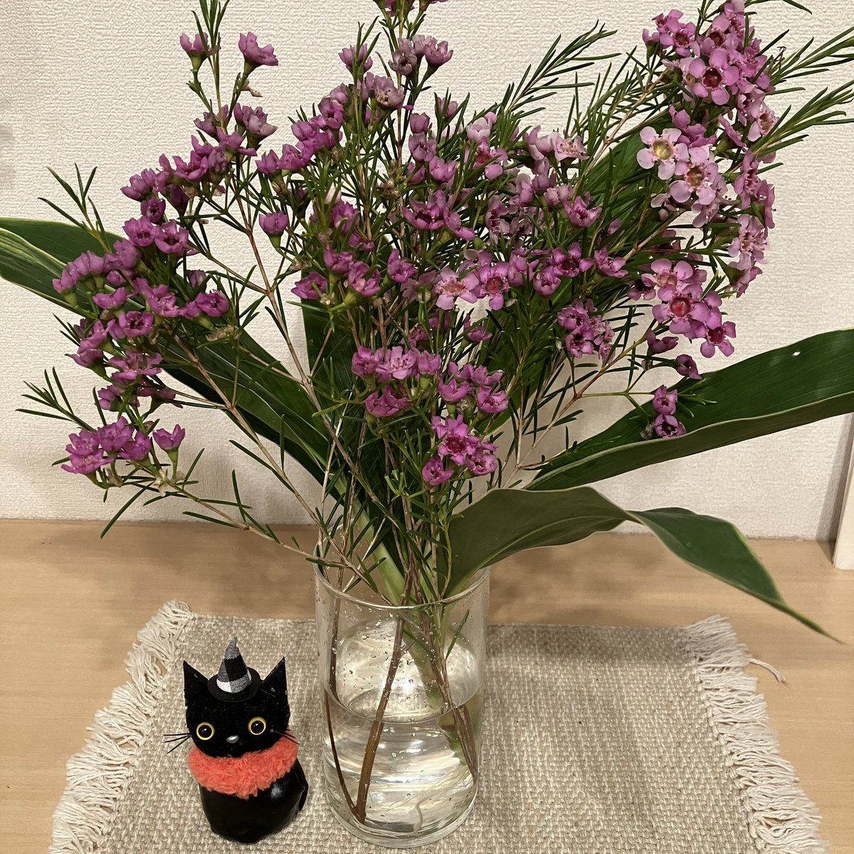 bouno's tweet photo. ワックスフラワー https://t.co/Ln7HrCJZeP