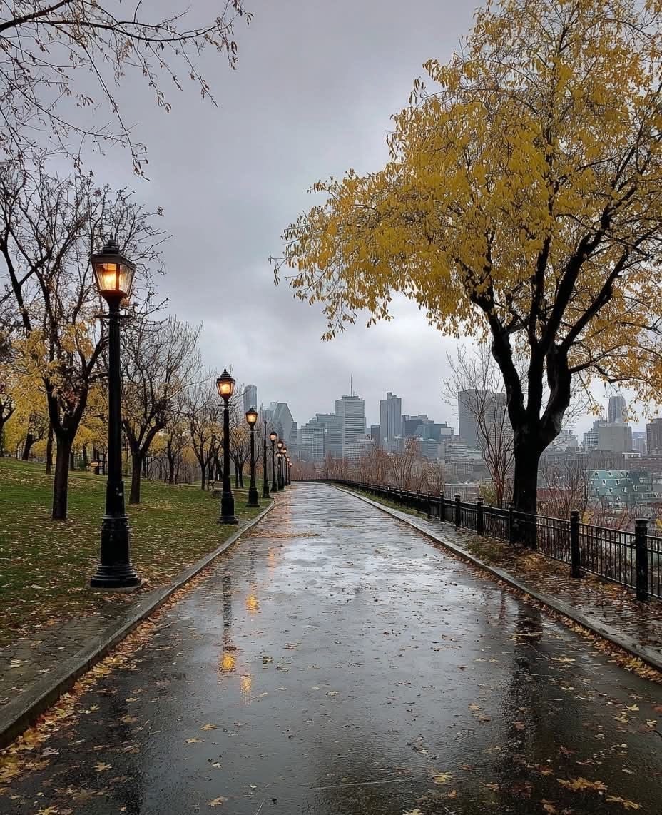 Alina_bloom79's tweet photo. day + night and rainy + autumn weather.. https://t.co/CzEnoXu1A2